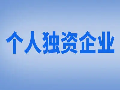 個人獨資企業(yè)